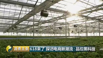 品控黑科技 央視《消費主張》探訪京東植物工廠的財務智慧